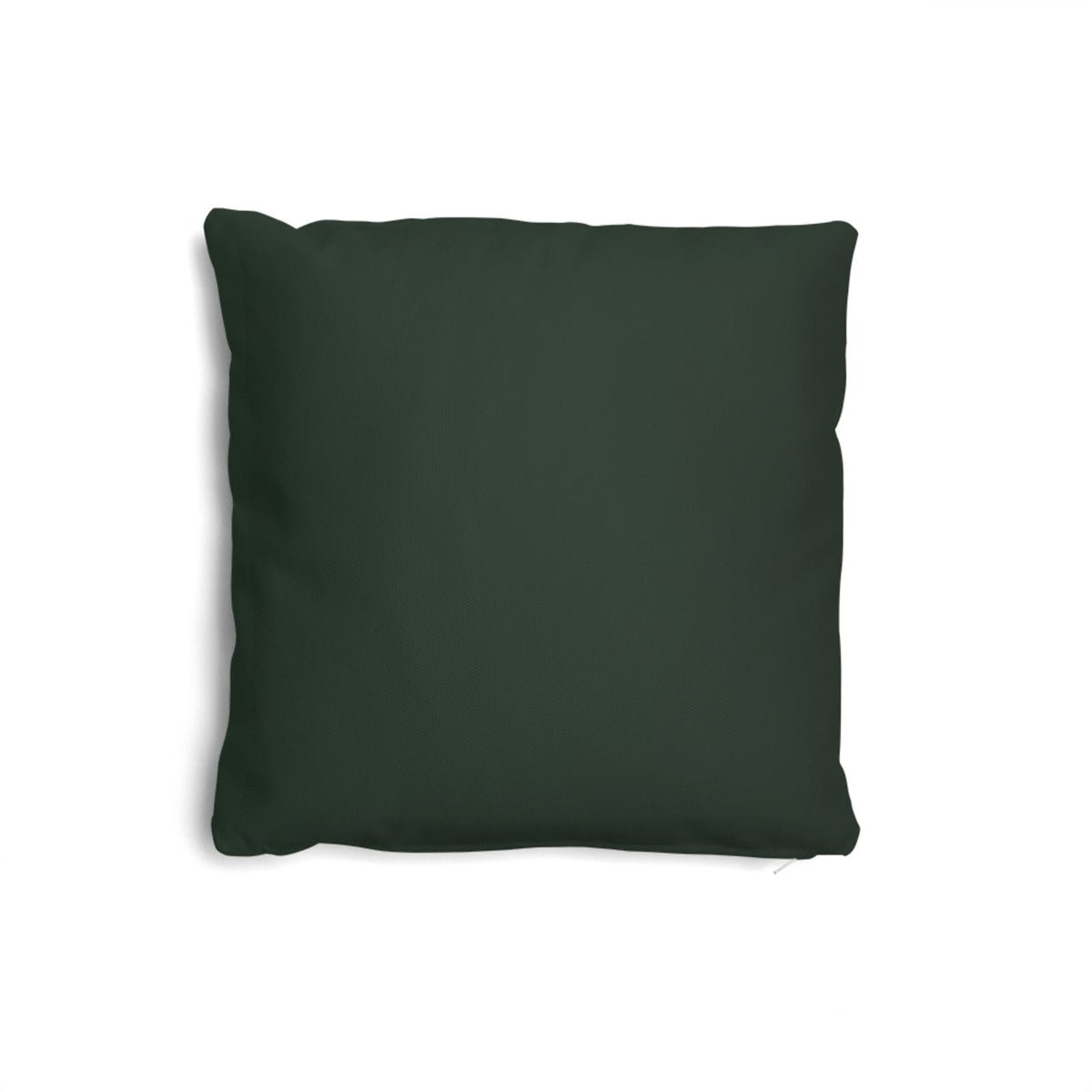 O’Reilly Ivy Cushion